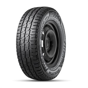 DoubleStar  205/65/16  R 107/105 C DW06 102558421989