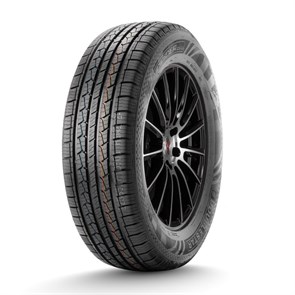 DoubleStar  225/65/17  T 102 DS01 87676360673