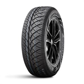 DoubleStar  265/60/18  H 110 APEX RACING 104077491532